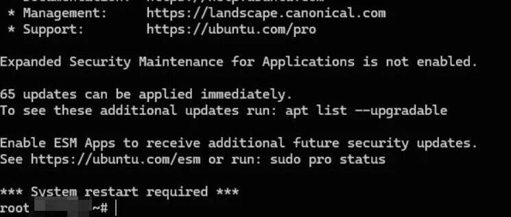 CVE-2026-24061漏洞修复教程：Linux服务器root权限绕过应急方案